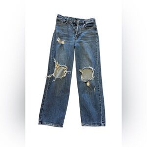 Wild Fable Blue Distressed Highest Rise Straight Jeans